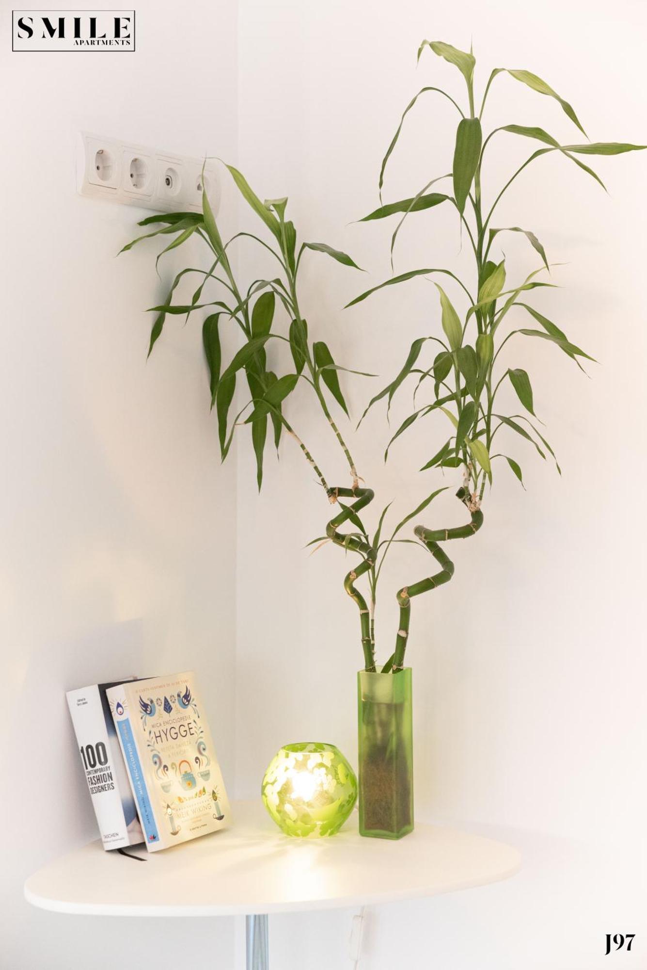 Smile Apartment *